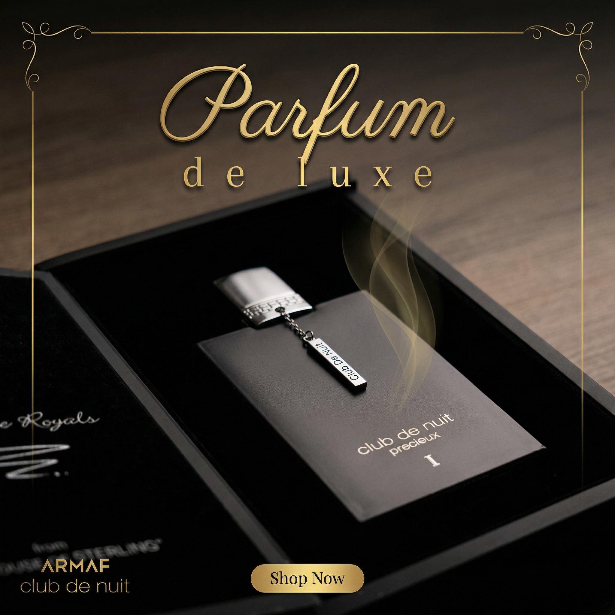 Club de nuit précieux I