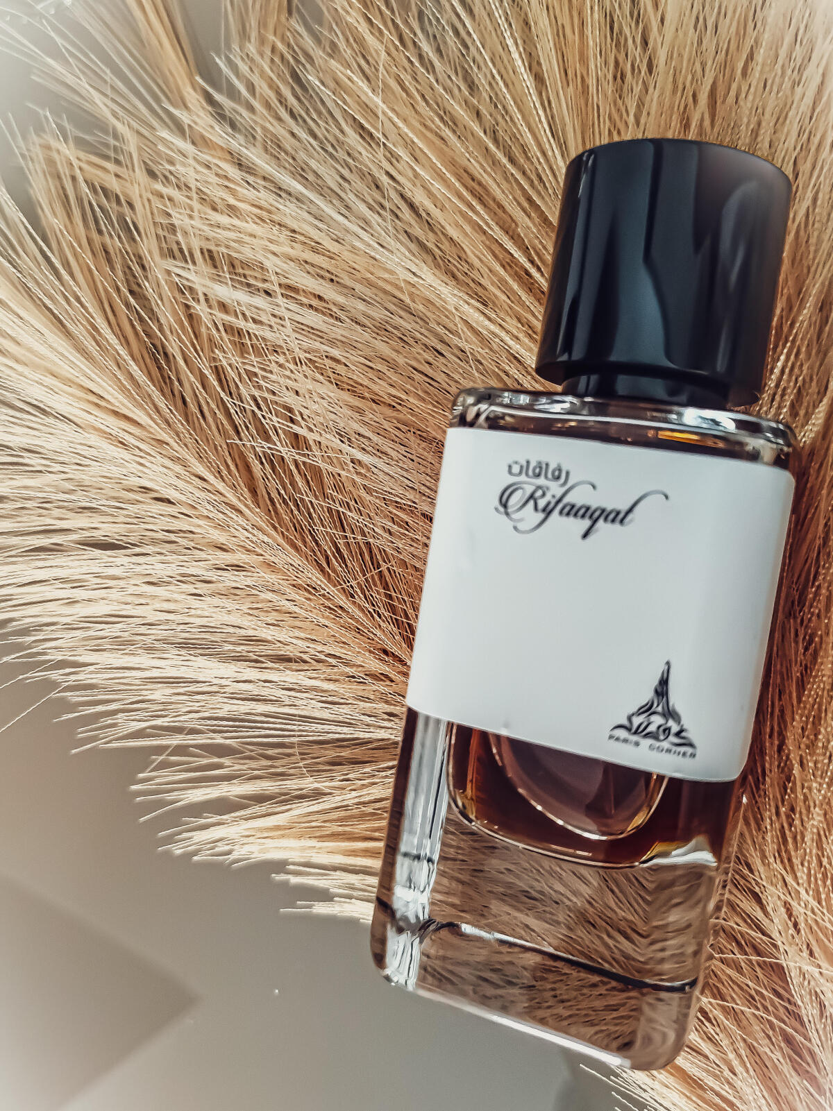 Rifaqaat by paris corner